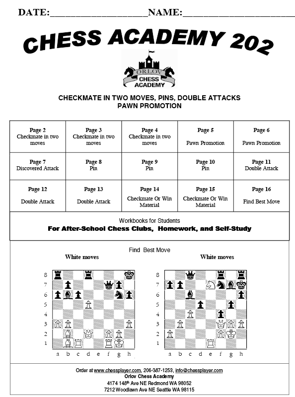 Chess Academy 202 flyer on the website