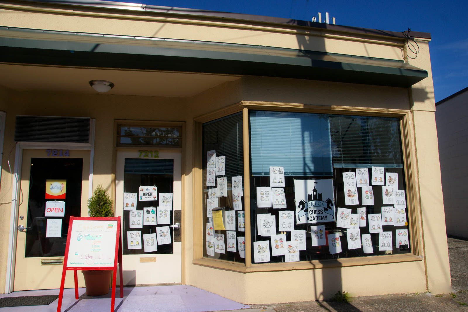 MidWinter Break Camp, Green Lake Orlov Chess Academy